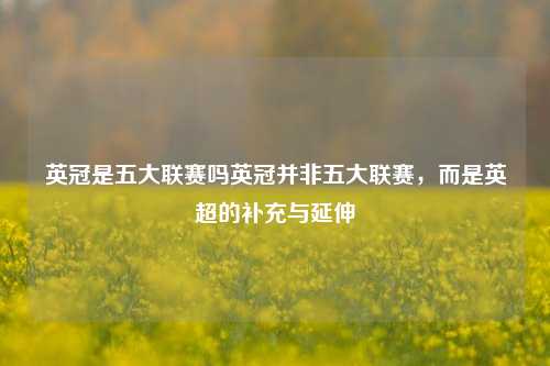 英冠是五大联赛吗英冠并非五大联赛，而是英超的补充与延伸