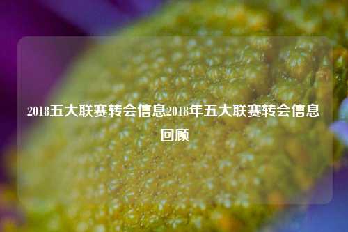 2018五大联赛转会信息2018年五大联赛转会信息回顾
