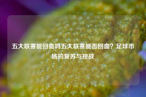 五大联赛能回血吗五大联赛能否回血？足球市场的复苏与挑战