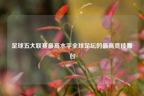 足球五大联赛最高水平全球足坛的最高竞技舞台