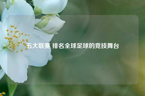 五大联赛 排名全球足球的竞技舞台