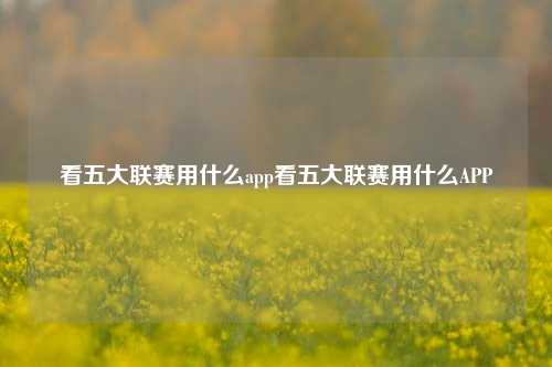 看五大联赛用什么app看五大联赛用什么APP