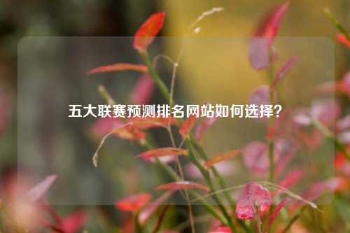 五大联赛预测排名网站如何选择？