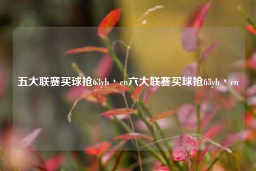 五大联赛买球抢63yb丶cn六大联赛买球抢63yb丶cn