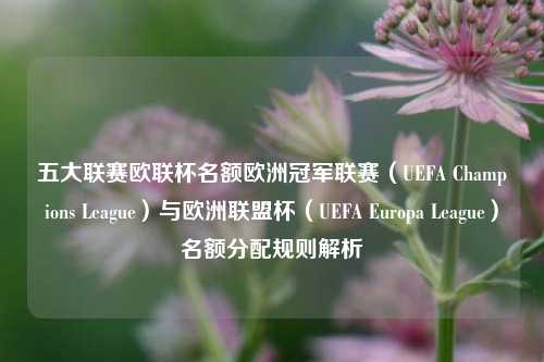 五大联赛欧联杯名额欧洲冠军联赛（UEFA Champions League）与欧洲联盟杯（UEFA Europa League）名额分配规则解析