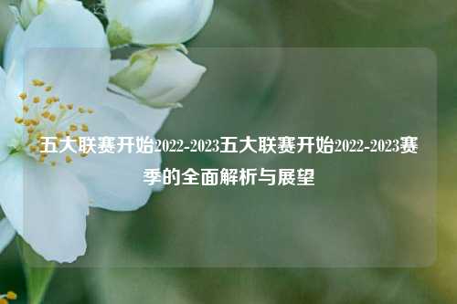 五大联赛开始2022-2023五大联赛开始2022-2023赛季的全面解析与展望