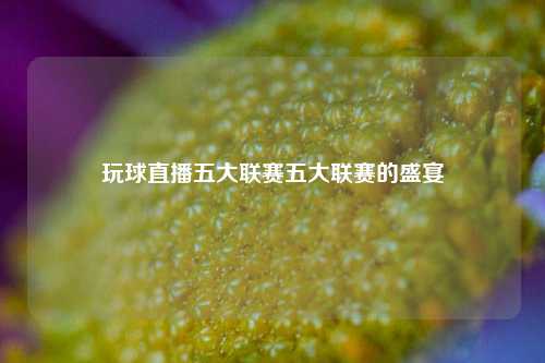 玩球直播五大联赛五大联赛的盛宴