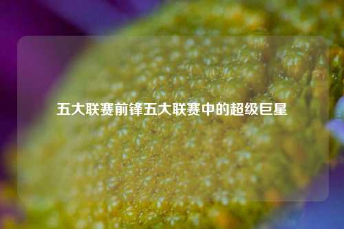 五大联赛前锋五大联赛中的超级巨星
