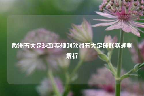 欧洲五大足球联赛规则欧洲五大足球联赛规则解析