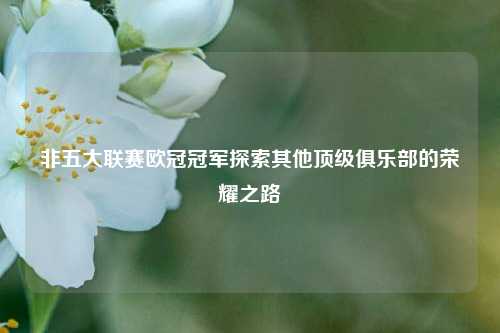 非五大联赛欧冠冠军探索其他顶级俱乐部的荣耀之路