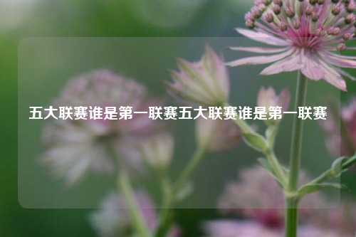 五大联赛谁是第一联赛五大联赛谁是第一联赛