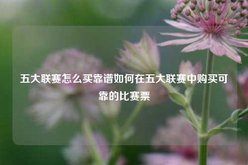五大联赛怎么买靠谱如何在五大联赛中购买可靠的比赛票