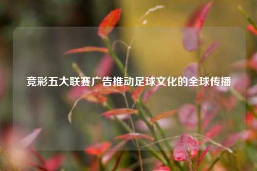 竞彩五大联赛广告推动足球文化的全球传播
