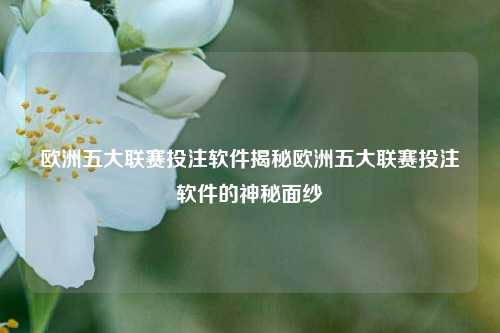 欧洲五大联赛投注软件揭秘欧洲五大联赛投注软件的神秘面纱