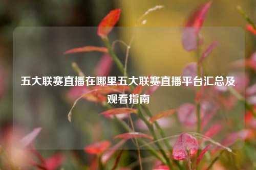 五大联赛直播在哪里五大联赛直播平台汇总及观看指南