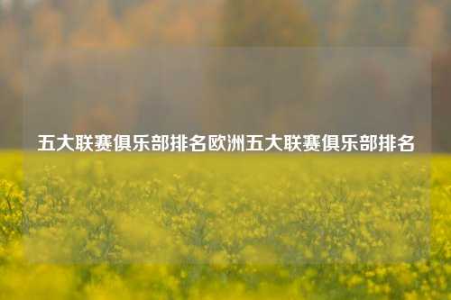 五大联赛俱乐部排名欧洲五大联赛俱乐部排名