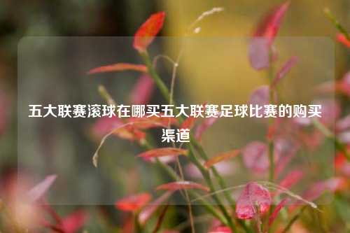 五大联赛滚球在哪买五大联赛足球比赛的购买渠道