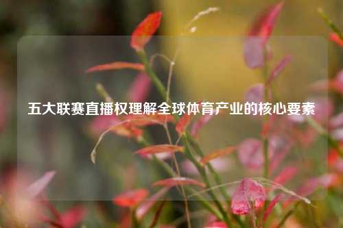 五大联赛直播权理解全球体育产业的核心要素