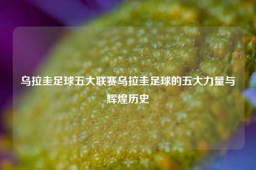 乌拉圭足球五大联赛乌拉圭足球的五大力量与辉煌历史