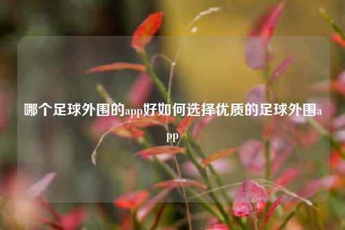 哪个足球外围的app好如何选择优质的足球外围app