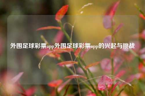 外围足球彩票app外围足球彩票app的兴起与挑战