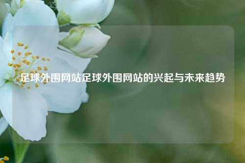 足球外围网站足球外围网站的兴起与未来趋势