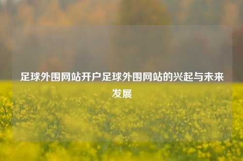 足球外围网站开户足球外围网站的兴起与未来发展