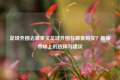 足球外围去哪里买足球外围在哪里购买？揭秘市场上的选择与建议