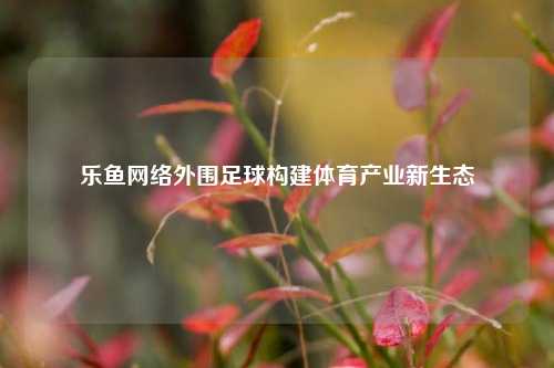 乐鱼网络外围足球构建体育产业新生态