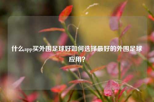 什么app买外围足球好如何选择最好的外围足球应用？