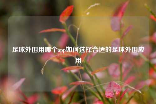 足球外围用哪个app如何选择合适的足球外围应用