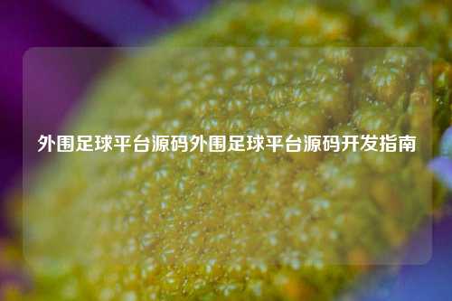 外围足球平台源码外围足球平台源码开发指南