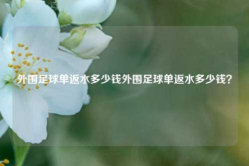 外围足球单返水多少钱外围足球单返水多少钱？