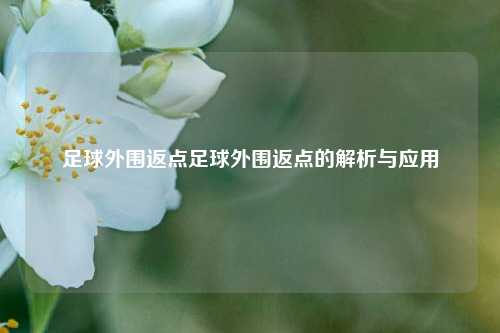 足球外围返点足球外围返点的解析与应用