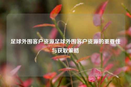 足球外围客户资源足球外围客户资源的重要性与获取策略